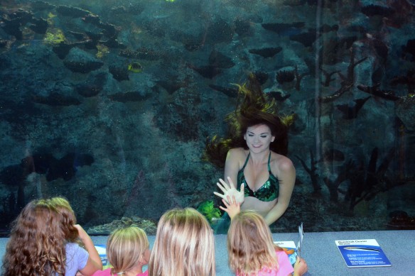 Mermaid Taylor interacts with children while swimming in Newport Aquarium's Coral Reef tunnel.