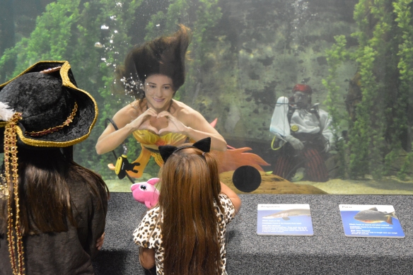 Newport Aquarium Mermaids