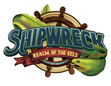 ShipwreckRealmOfTheEels_Logo_FINAL